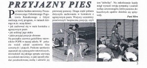 Artykuł Przyjazny Pies